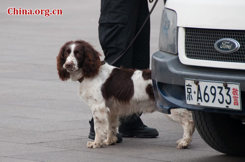 Police also sniff dogs to detect possible dangerous items on journalists&apos; vehicles parked on the Tian&apos;anmen Square on Saturday afternoon as the CPPCC opens its annual sessions. [China.org.cn]
