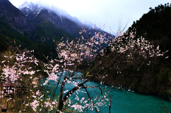 Nyingchi Prefecture is surrounded by the Himalaya mountain range. [Photo: Tibet Geographic]