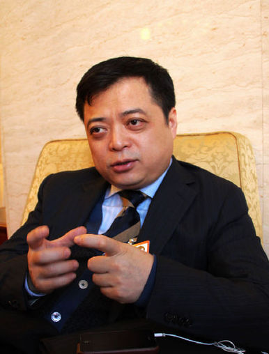 Nan Cuihui, chairman of Chinese solar panel manufacturer Chint. [China.org.cn]
