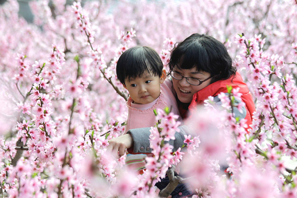 Visitors enjoy peach blossoms in Weihai, Shandong province on March 11, 2012. [Photo/Xinhua] 