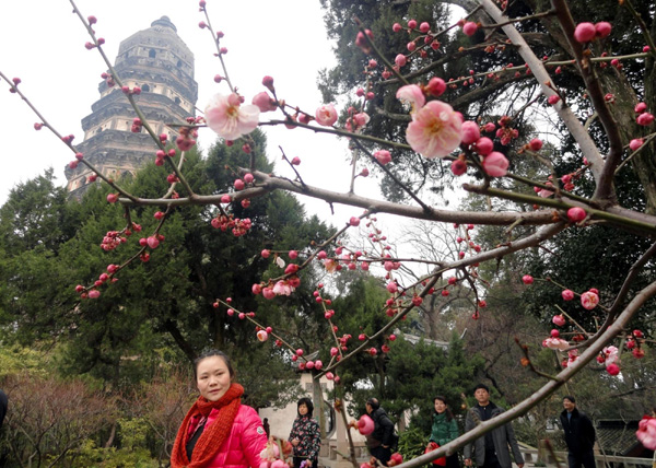 Visitors enjoy peach blossoms in Weihai, Shandong province on March 11, 2012. [Photo/Xinhua] 