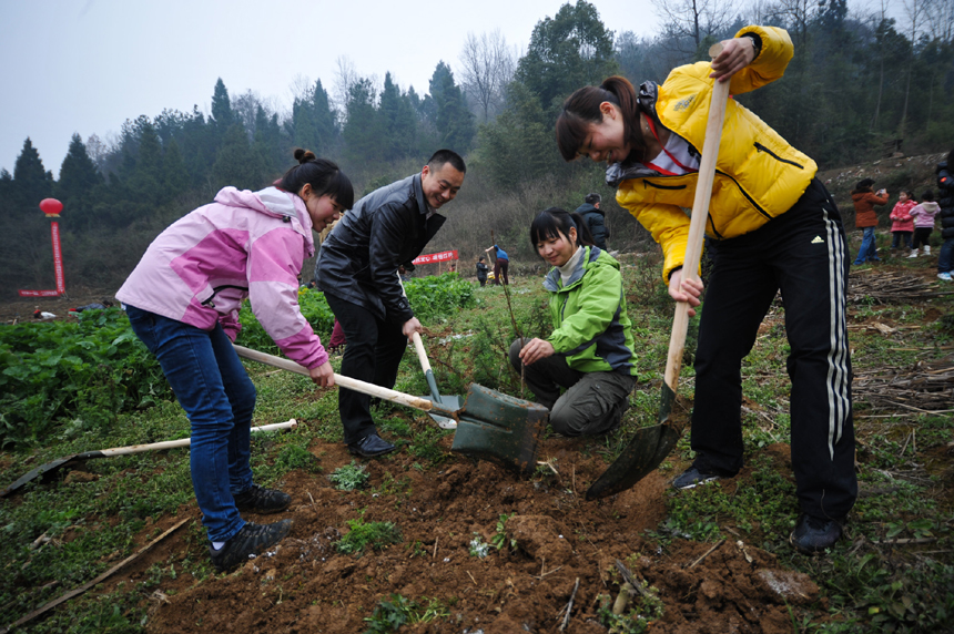 People plant trees on the 34th national Tree Planting Day in Zhangjiajie, Hunan Povince, March 12, 2012. 