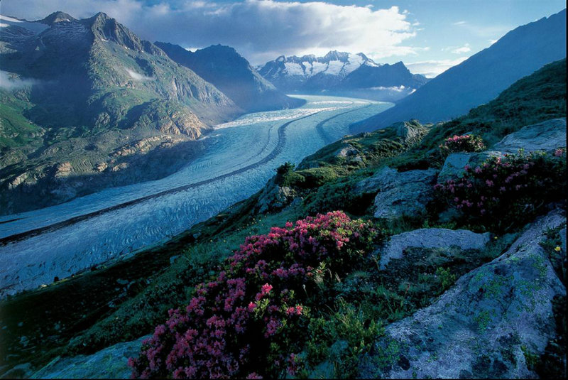 Aletsch Glacier (Photo Source:cyol.net)