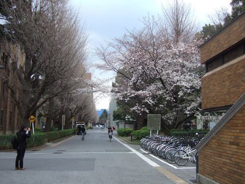 Kyoto University, one of the 'Top Universities by Reputation 2012' by China.org.cn 