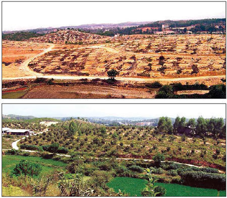 Above: The barren hills of Chetian village in Hetian town, Changting county, Fujian province, in 2005. Below: As a result of water and soil erosion control, the hills of Chetian village were transformed into orchards in 2009. [China Daily] 