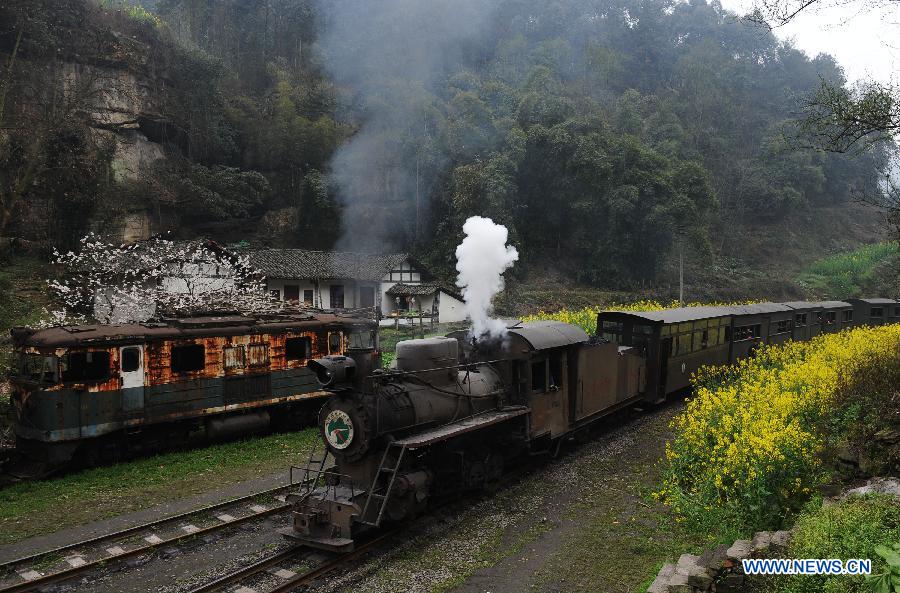 Jiayang mini steam engine train runs in Qianwei County, southwest China's Sichuan Province, March 14, 2012. Built in 1958, Jiayang mini steam engine train with a narrow rail gauge, used to be a coal transportation. 