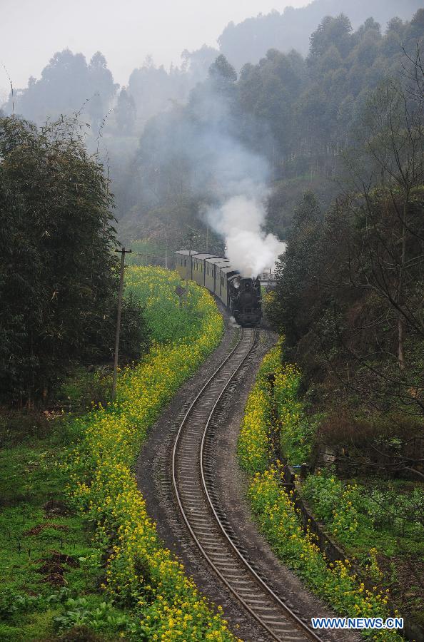 Jiayang mini steam engine train runs in Qianwei County, southwest China's Sichuan Province, March 14, 2012. Built in 1958, Jiayang mini steam engine train with a narrow rail gauge, used to be a coal transportation. 