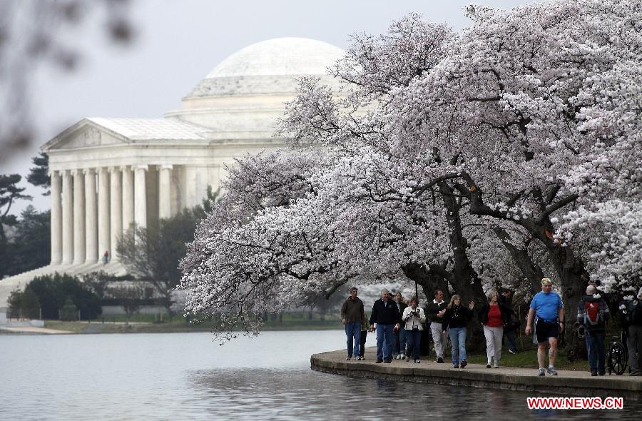 Tourists walk beneath cherry blossom trees along the Tidal Basin in Washington D.C., the United States, on March 18, 2012. The annual Cherry Blossom Festival will begin here on March 20, commemorating the 100th anniversary of Japan's gift of 3,000 Japanese cherry blossom trees to Washington in 1912. (Xinhua/Lin Yu) 