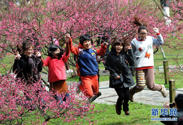 The plum trees in the public parks, botanical gardens and scenic areas of Hangzhou, capital city of east China's Zhejiang province, are in full bloom as seen in a series of photos released by Xinhua news agency on Sunday, March 18, 2012. The pink plum blossom has attracted large numbers of citizens and tourists over the past weekend. [Photo:Xinhua]