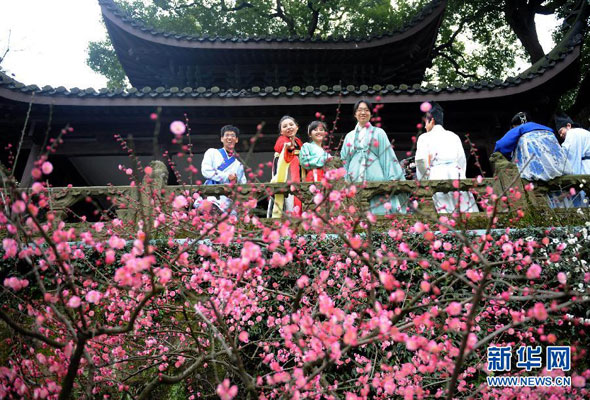 The plum trees in the public parks, botanical gardens and scenic areas of Hangzhou, capital city of east China's Zhejiang province, are in full bloom as seen in a series of photos released by Xinhua news agency on Sunday, March 18, 2012. The pink plum blossom has attracted large numbers of citizens and tourists over the past weekend. [Photo:Xinhua] 