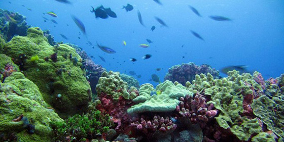 Top 10 largest protected areas in the world