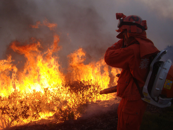 A firefighter tries to put out forest fire spread to Caopu Township in Anning, a county-level city on the outskirts of Kunming, capital of southwest China's Yunnan Province, March 19, 2012. [Xinhua]