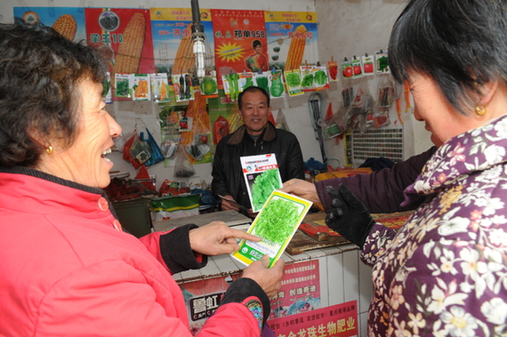 Vegetable seeds are in great demand in Zibo