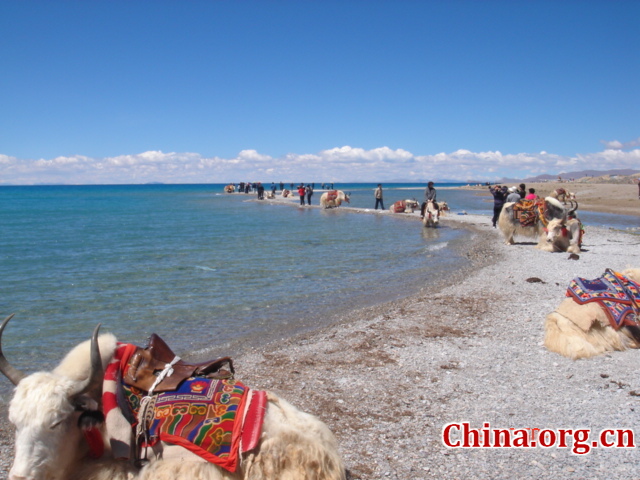 Tibet, the Roof of the World, is the highest region on Earth, with an average elevation of 4,900 meters. Located in a plateau north of the Himalayas, it is a mysterious, exotic place for many outsiders. Since the beginning of the 20th century, the massive, tranquil land with its majestic scenery and mysterious religious culture has exerted an awesome draw on travelers.