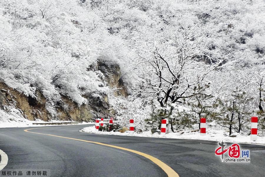 Miaofeng Mountain Scenic Area is located in Mentougou District of Beijing along the No. 109 state highway. The scenic area is known for its ancient temples, weird pine trees and rocks, and the main peak of the mountain is 1,291 meters above sea level, and this is the highest peak standing closest to Beijing. [Photo by Jia Yunlong]