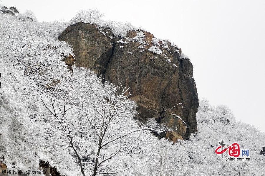 Miaofeng Mountain Scenic Area is located in Mentougou District of Beijing along the No. 109 state highway. The scenic area is known for its ancient temples, weird pine trees and rocks, and the main peak of the mountain is 1,291 meters above sea level, and this is the highest peak standing closest to Beijing. [Photo by Jia Yunlong]