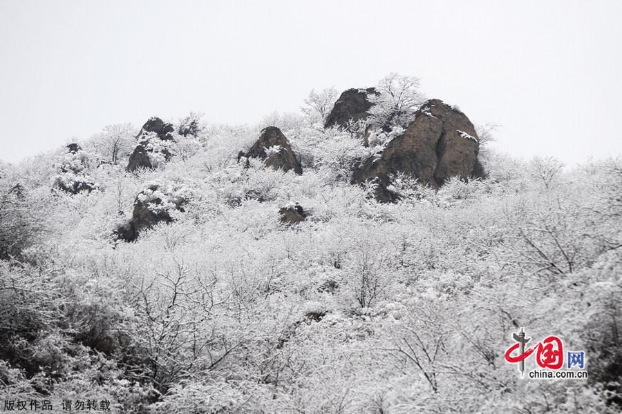 Miaofeng Mountain Scenic Area is located in Mentougou District of Beijing along the No. 109 state highway. The scenic area is known for its ancient temples, weird pine trees and rocks, and the main peak of the mountain is 1,291 meters above sea level, and this is the highest peak standing closest to Beijing. [Photo by Jia Yunlong]