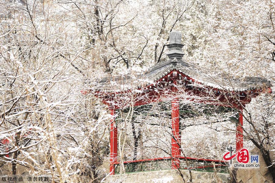 Miaofeng Mountain Scenic Area is located in Mentougou District of Beijing along the No. 109 state highway. The scenic area is known for its ancient temples, weird pine trees and rocks, and the main peak of the mountain is 1,291 meters above sea level, and this is the highest peak standing closest to Beijing. [Photo by Jia Yunlong]