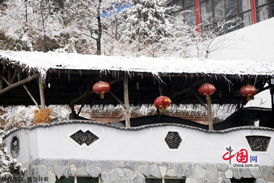 Miaofeng Mountain Scenic Area is located in Mentougou District of Beijing along the No. 109 state highway. The scenic area is known for its ancient temples, weird pine trees and rocks, and the main peak of the mountain is 1,291 meters above sea level, and this is the highest peak standing closest to Beijing. [Photo by Jia Yunlong]