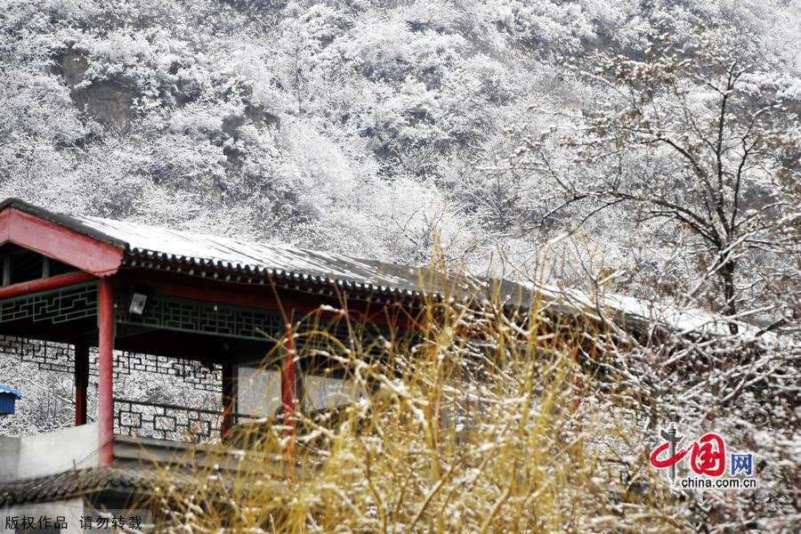 Miaofeng Mountain Scenic Area is located in Mentougou District of Beijing along the No. 109 state highway. The scenic area is known for its ancient temples, weird pine trees and rocks, and the main peak of the mountain is 1,291 meters above sea level, and this is the highest peak standing closest to Beijing. [Photo by Jia Yunlong]