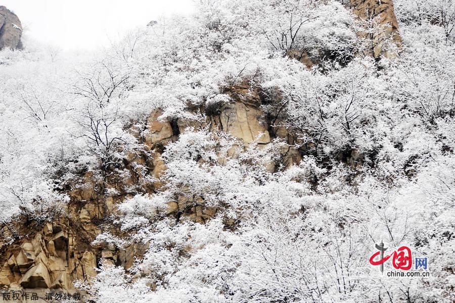 Miaofeng Mountain Scenic Area is located in Mentougou District of Beijing along the No. 109 state highway. The scenic area is known for its ancient temples, weird pine trees and rocks, and the main peak of the mountain is 1,291 meters above sea level, and this is the highest peak standing closest to Beijing. [Photo by Jia Yunlong]