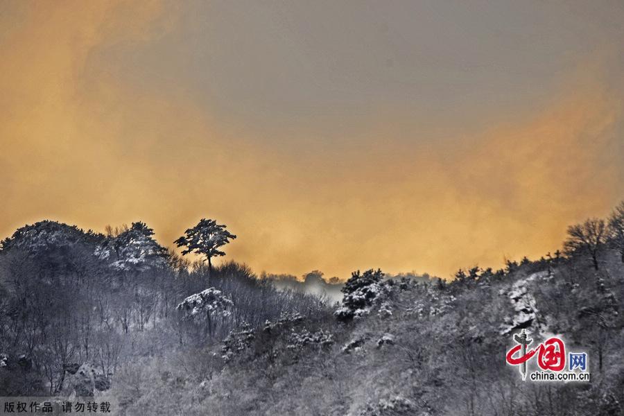 Miaofeng Mountain Scenic Area is located in Mentougou District of Beijing along the No. 109 state highway. The scenic area is known for its ancient temples, weird pine trees and rocks, and the main peak of the mountain is 1,291 meters above sea level, and this is the highest peak standing closest to Beijing. [Photo by Jia Yunlong]