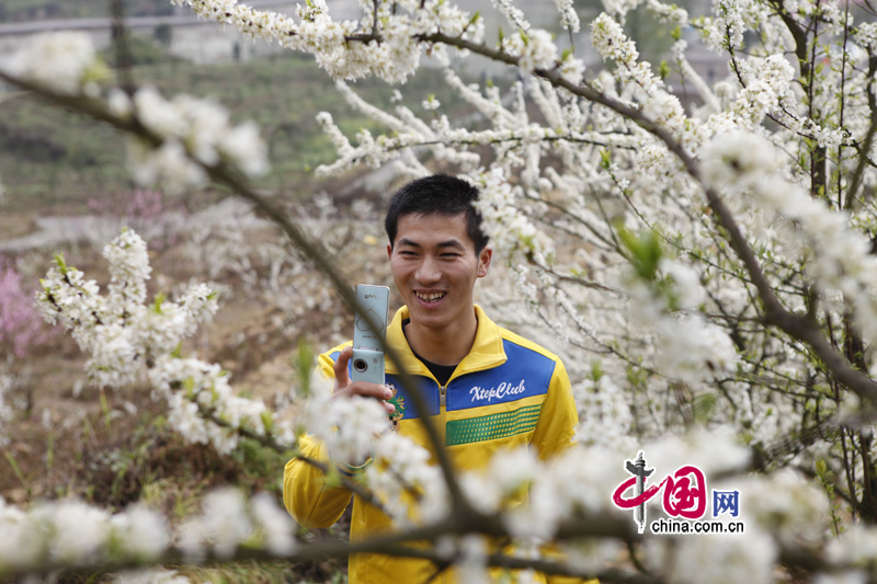 Visitors take photos among the plum flowers in Yinhe Village, Tongjing town, southwest China's Chongqing municipality, Mar. 25, 2012. Many visitors go out for a walk in spring. [China.org.cn]