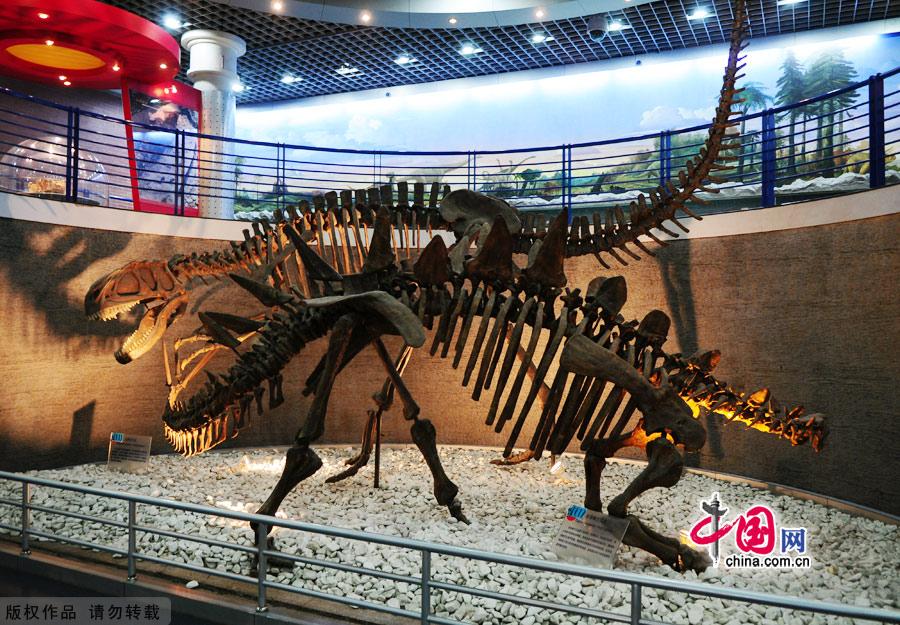 The Beijing Museum of Natural history is housed in an unpretentious building in the Yongdingmen area in the southern part of the city, just opposite the Tianqiao Department Store. The first museum of its kind in China, it houses more than 5,000 specimens, which are displayed in the Halls of Paleontology, Zoology and Botany. [China.org.cn]