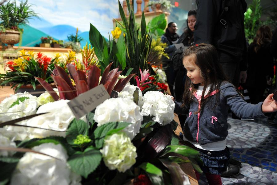 People visit at the Macy's Flower Show in New York, the United States, March 26, 2012. The 38th annual Macy's Flower Show enlisted six of the world's most brilliant and renowned floral designers to create a spectacular exhibition of flowers. (Xinhua/Wang Lei) 