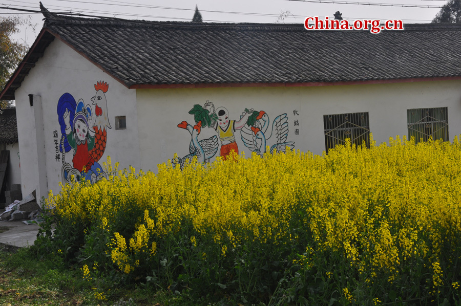 Photo shows the beautiful spring scenery of Nianhua village in Mianzhu City, southwest China's Sichuan Province, Mar. 18, 2012. Mianzhu was one of the worst-hit cities in the devastating 2008 Wenchuan earthquak. [China.org.cn/by Chen Xiangzhao] 