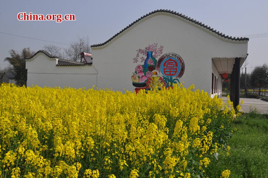 Photo shows the beautiful spring scenery of Nianhua village in Mianzhu City, southwest China's Sichuan Province, Mar. 18, 2012. Mianzhu was one of the worst-hit cities in the devastating 2008 Wenchuan earthquak. [China.org.cn/by Chen Xiangzhao] 