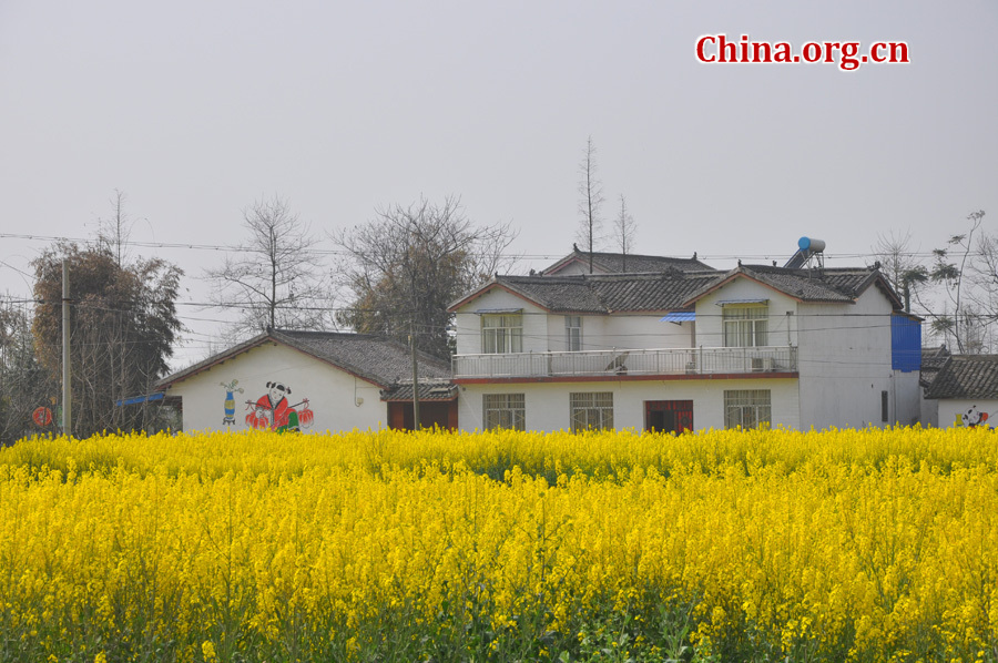 Photo shows the beautiful spring scenery of Nianhua village in Mianzhu City, southwest China's Sichuan Province, Mar. 18, 2012. Mianzhu was one of the worst-hit cities in the devastating 2008 Wenchuan earthquak. [China.org.cn/by Chen Xiangzhao] 