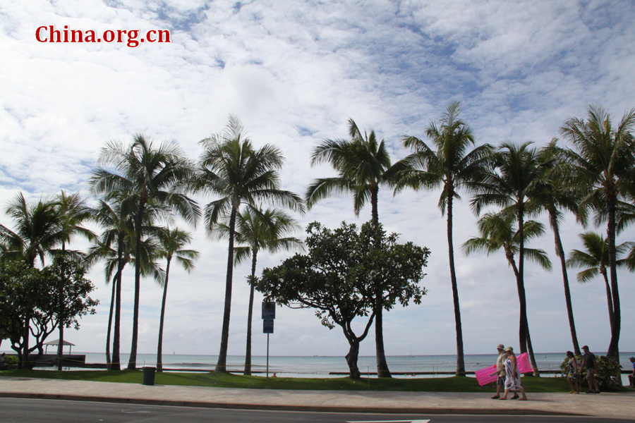 Photo shows the beautiful scenery of Waikiki Beach, Honolulu, in Hawaii, United States. [China.org.cn/Photo by Li Xiaohua] 