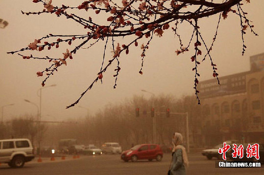 A sandstorm hits northwest China's Xinjiang area on Tuesday, March 20, 2012. [chinanews.com] 