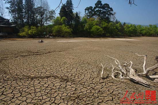 Heilong pond, a symbol of Lijiang, China’s famous tour destination, is dried-up due to the severe drought in Yunan province in recent years. The badly cracked lakebed of Heilong pond destroys the local scenery.