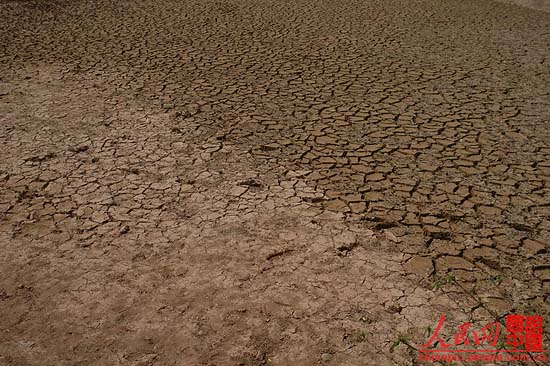 Heilong pond, a symbol of Lijiang, China’s famous tour destination, is dried-up due to the severe drought in Yunan province in recent years. The badly cracked lakebed of Heilong pond destroys the local scenery.