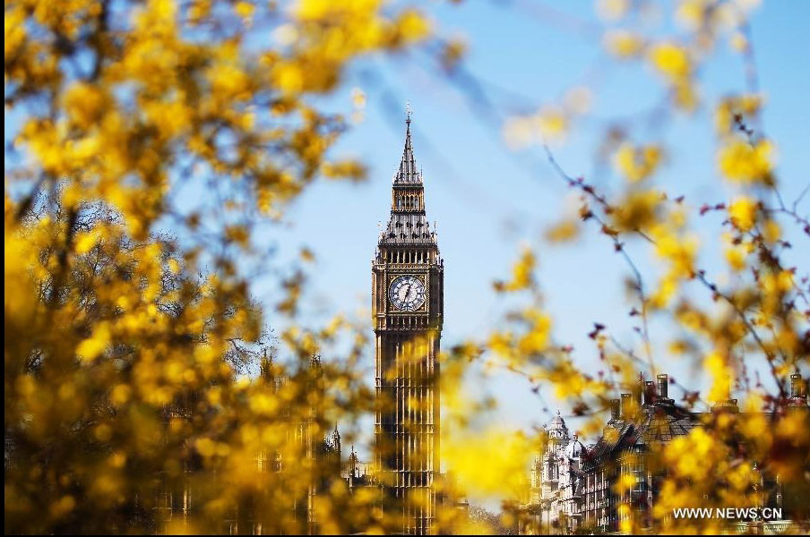 Flowers are seen in front of the Big Ben in London, Britain, March 27, 2012. Varieties of spring flowers flourish as the northern hemisphere have entered its springtime since March. (Xinhua/Yin Gang) 