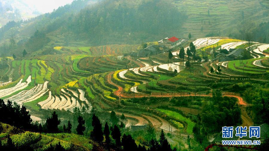 Photo taken on Mar. 29, 2012 shows the amazing scenery of terraced fields in Hanyin County, Ankang City in northwest China's Shaanxi Province. [China.org.cn]