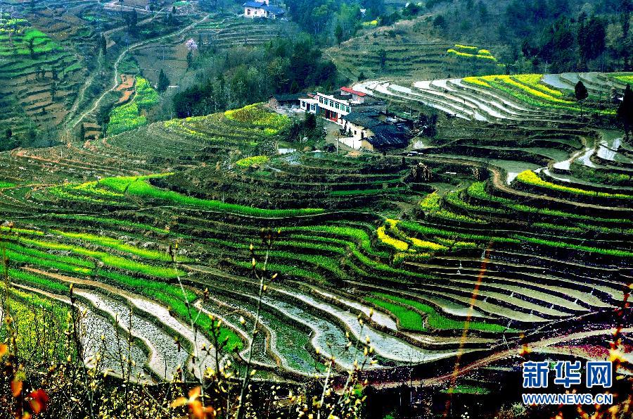 Photo taken on Mar. 29, 2012 shows the amazing scenery of terraced fields in Hanyin County, Ankang City in northwest China's Shaanxi Province. [China.org.cn]