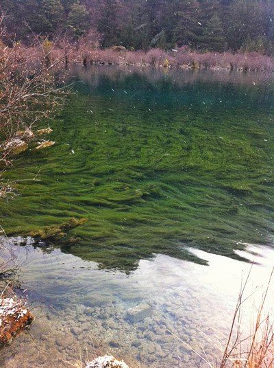 Rhinoceros Lake. [Photo/China Forum-posted by DSseeing] 