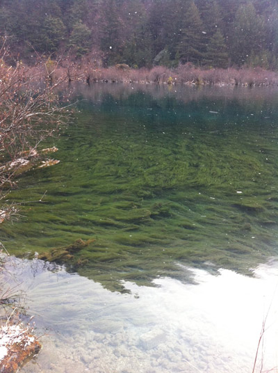 Rhinoceros Lake. [Photo/China Forum-posted by DSseeing] 