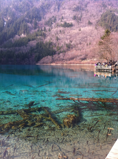 Five-flower lake. [Photo/China Forum-posted by DSseeing] 