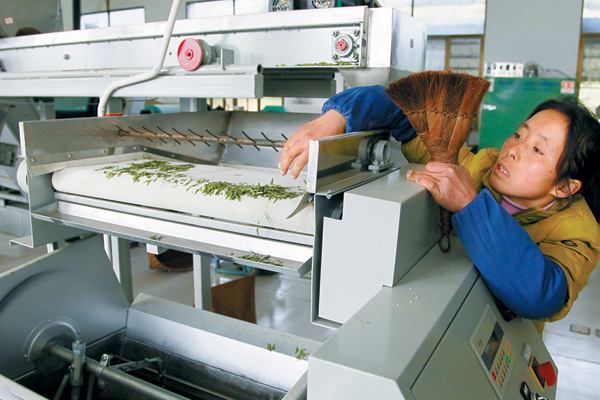 Modern technology is employed in the tea production in Chun'an.