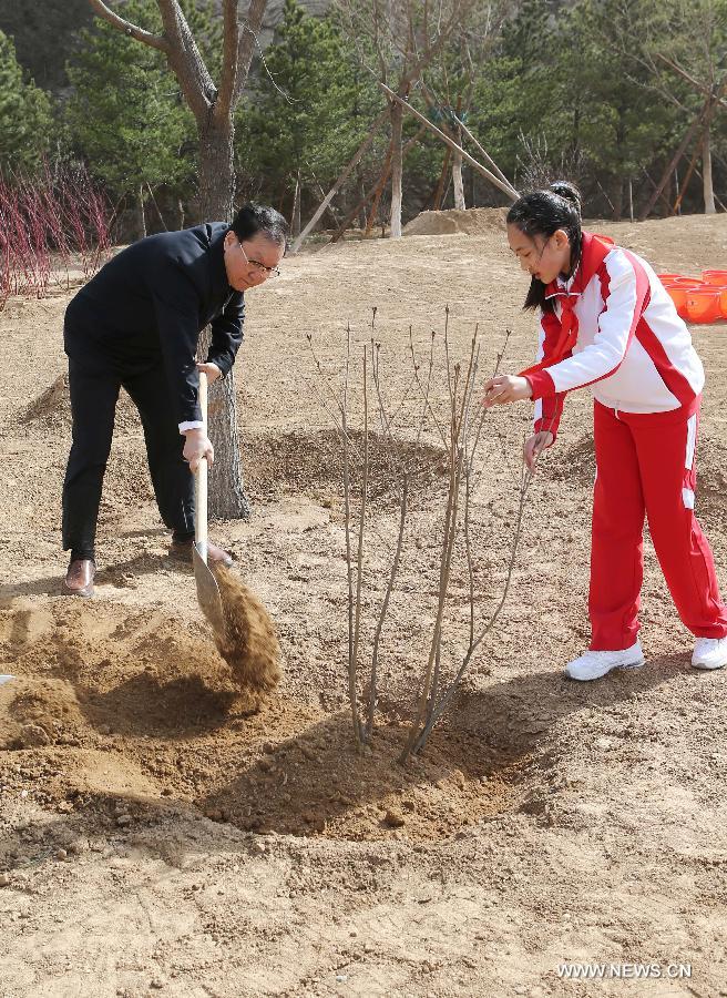 Li Changchun, a member of the Standing Committee of the Political Bureau of the Communist Party of China Central Committee, plants a sapling as Chinese top leaders including Hu Jintao, Wu Bangguo, Wen Jiabao, Jia Qinglin, Li Changchun, Xi Jinping, Li Keqiang, He Guoqiang and Zhou Yongkang attend a voluntary tree planting event in Beijing, capital of China, April 3, 2012. [Xinhua]