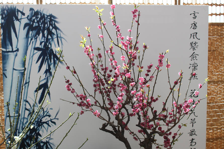 The blossoms in Zhongshan Park, Beijing, April 3, 2012. [Photo/China.org.cn]