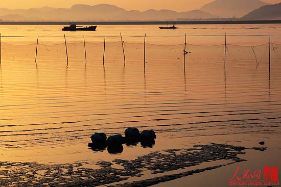 Beautiful dawn in Donggang city, in northeast China's Liaoning province. [People's Daily Online]