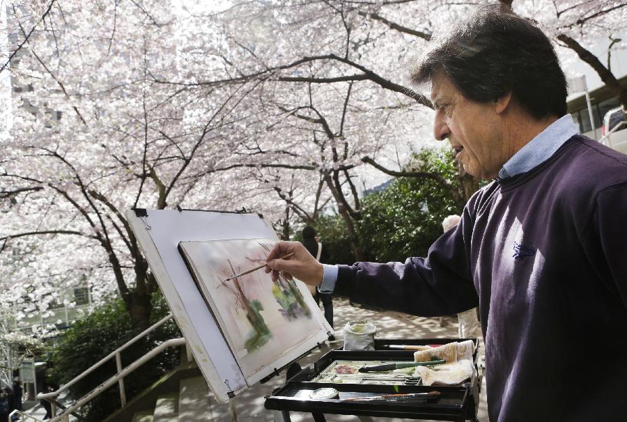  A man paints cherry blossoms in Vancouver, Canada, on April 5, 2012. Vancouver holds a two-week cherry blossom festival to celebrate the cherry blossom season. (Xinhua/Liang Sen) 