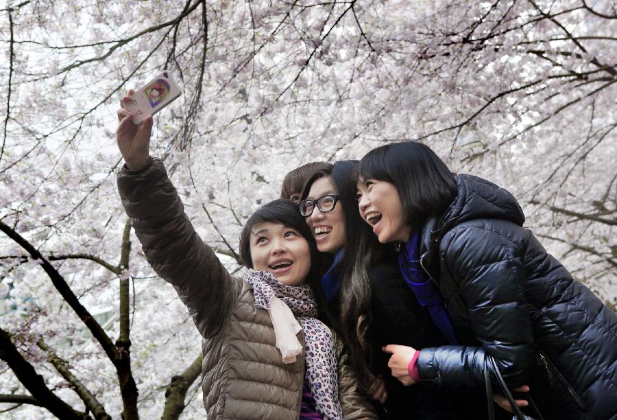 Citizens pose for photographs in the sea of cherry blossoms in Vancouver, Canada, on April 5, 2012. Vancouver holds a two-week cherry blossom festival to celebrate the cherry blossom season. (Xinhua/Liang Sen) 