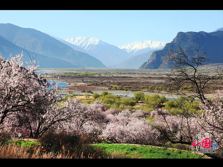 Nyingchi, or Linzhi in Chinese, lies in the southeast part of Tibet Autonomous Region. Located near the lower reaches of Yarlung Zangbo River, it is blessed with a semi-humid climate and fascinating scenery. With a large number of river valleys and alpine gorges, Nyingchi is also called the 'Switzerland of Tibet'. 