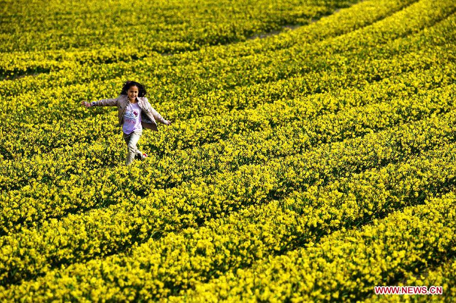 A girl runs in the tulip flower field near Lisse, the Netherlands, on April 8, 2012. The country , well known for the tulips, is embracing its most beautiful season. (Xinhua/Robing Utrecht) 